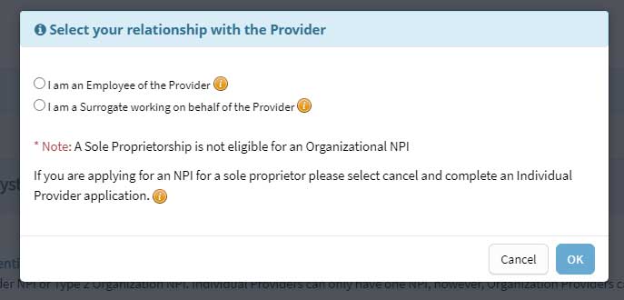 Screenshot 2 of the NPI type 2 enrollment