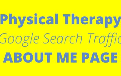 Physical Therapy Google Search Traffic