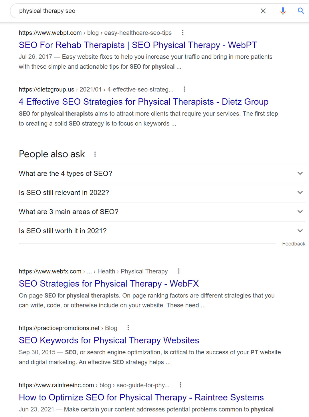Google Search Results for Physical Therapy SEO